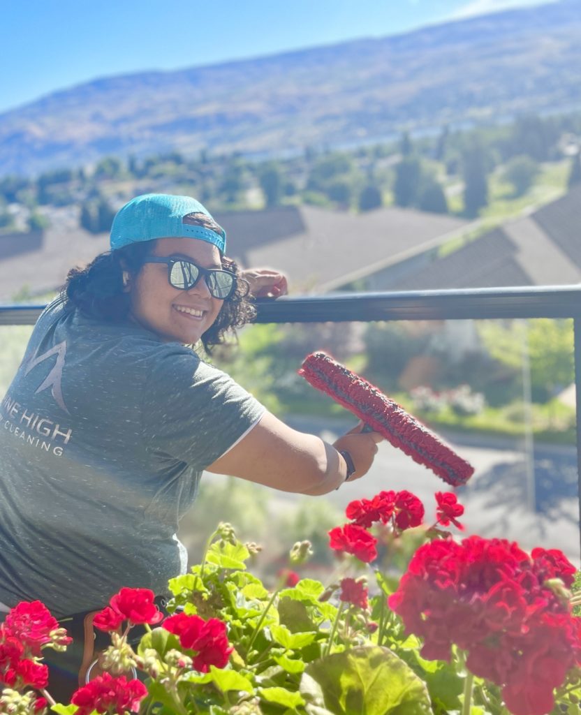 window washing professionals