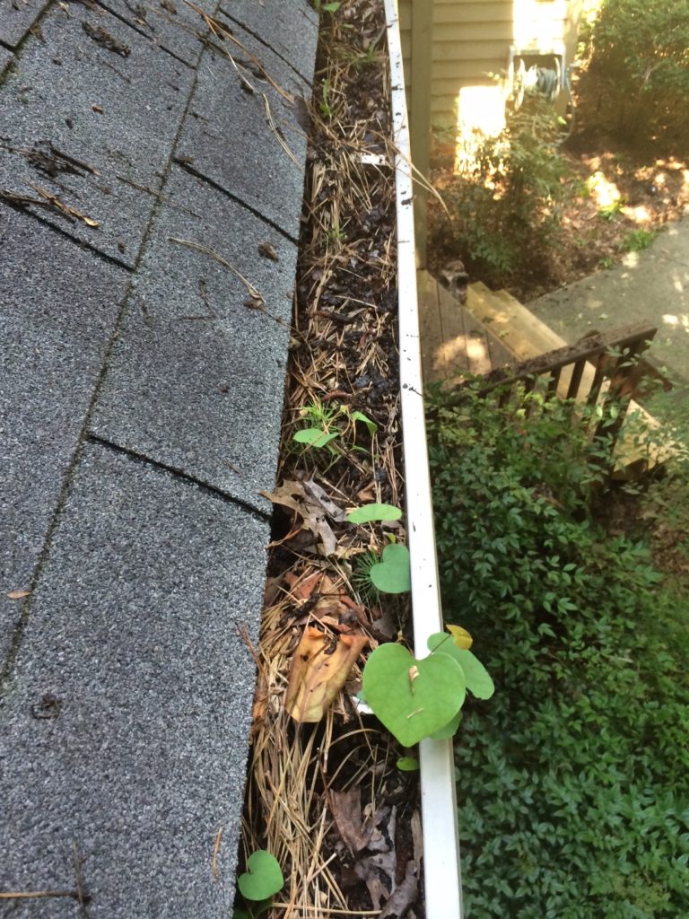 Gutter Cleaning Wenatchee WA