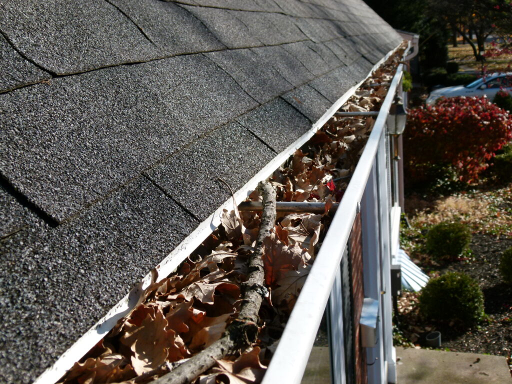 gutter cleaning